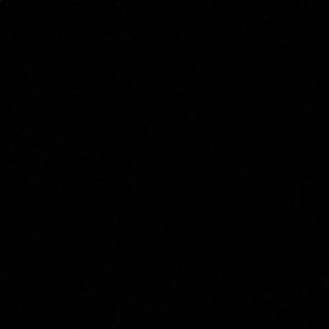 Meet your Posher, Natasha